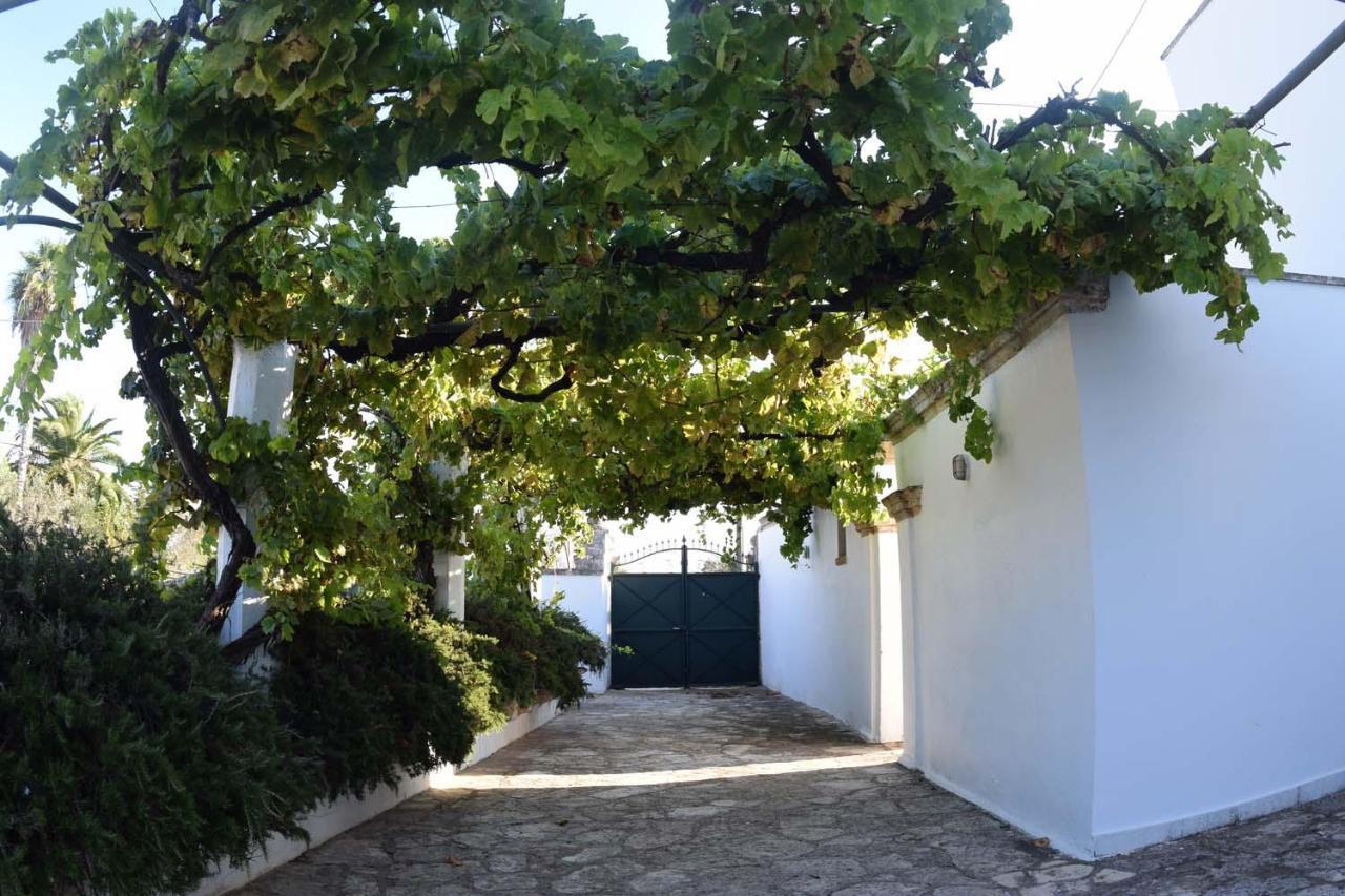 La Giara House ,Near Gallipoli Alezio Ngoại thất bức ảnh
