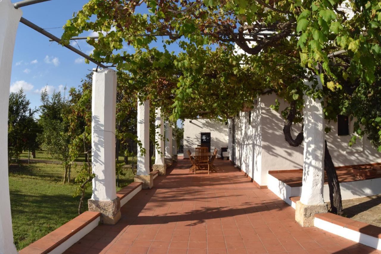 La Giara House ,Near Gallipoli Alezio Ngoại thất bức ảnh